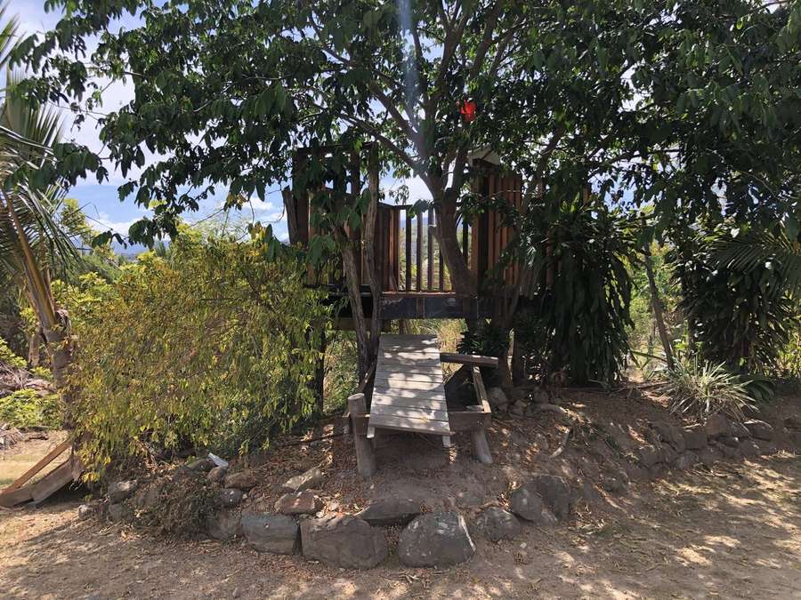 Verdure tropicale et espace pour toute la famille